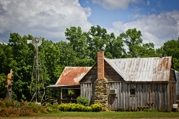 famous writers from georgia